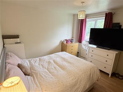 Picture 12